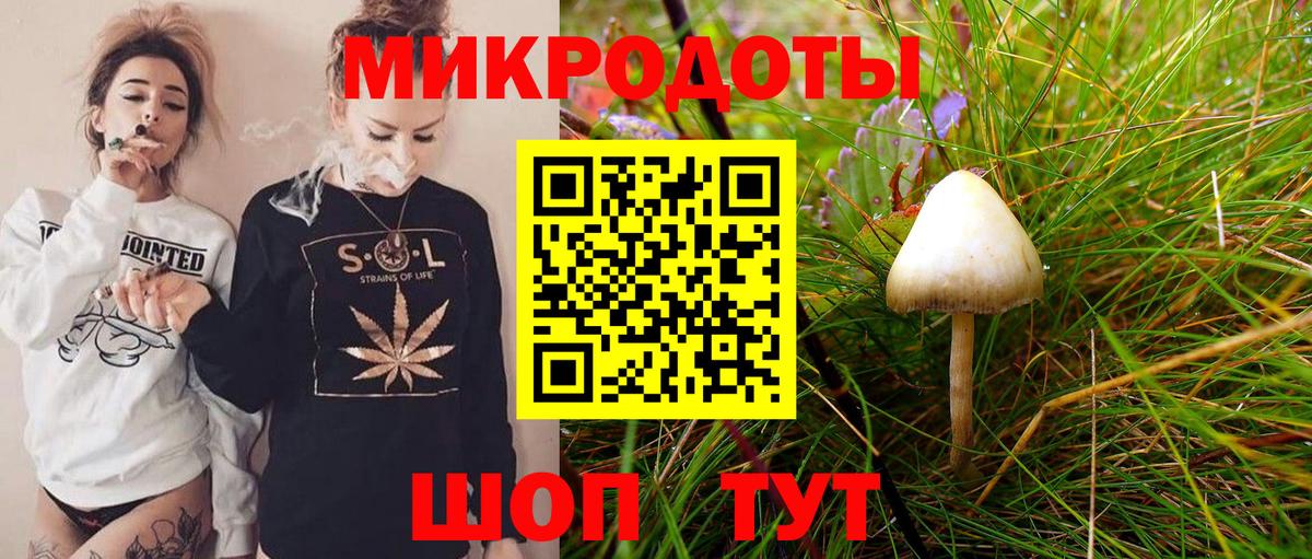 Псилоцибиновые грибы ЛСД  Псилоцибиновые грибы MAGIC MUSHROOMS  Знаменск  где можно купить   Вход с VPN 